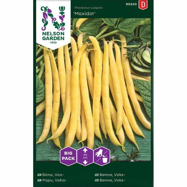 Wax Bean 'Maxidor'