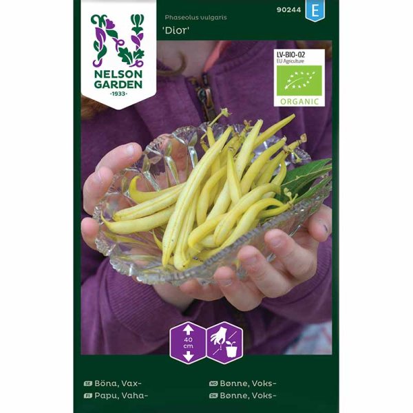 Wax Bean 'Dior' Organic
