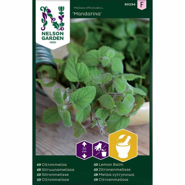 Lemon Balm 'Mandarina'
