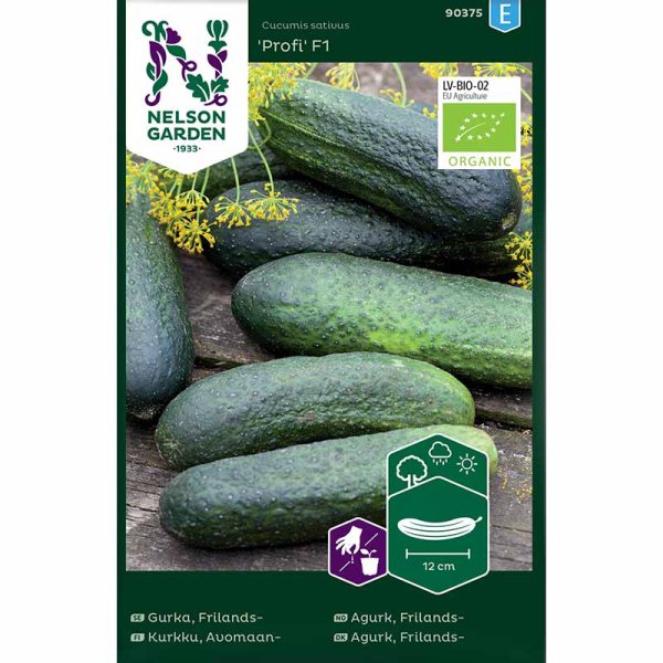 Outdoor Cucumber 'Profi' F1 Organic