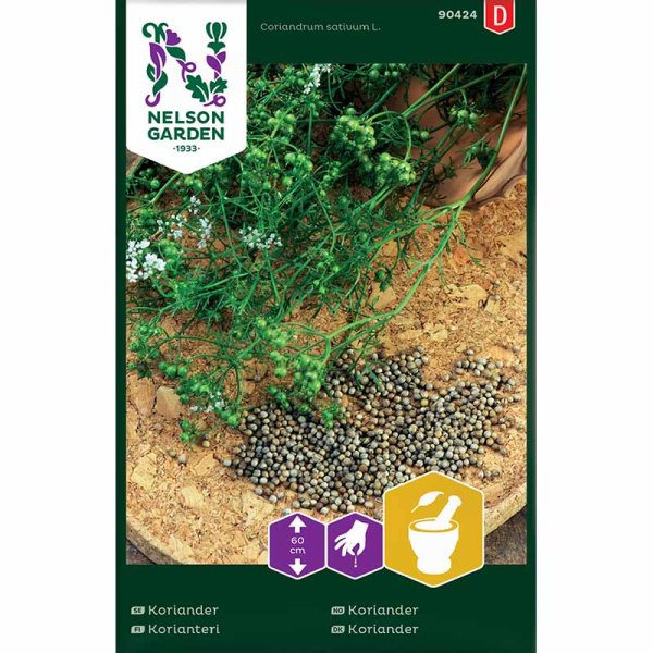 Coriander