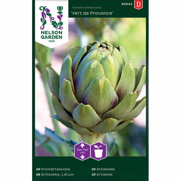 Artichoke 'Vert de Provence'