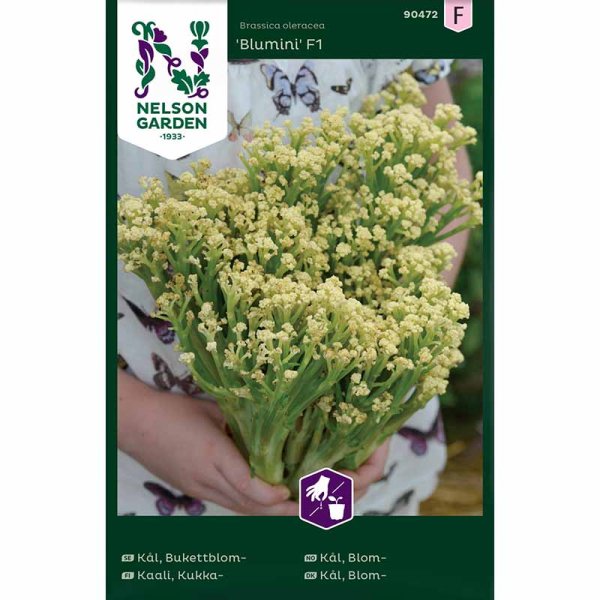 Cauliflower 'Blumini' F1