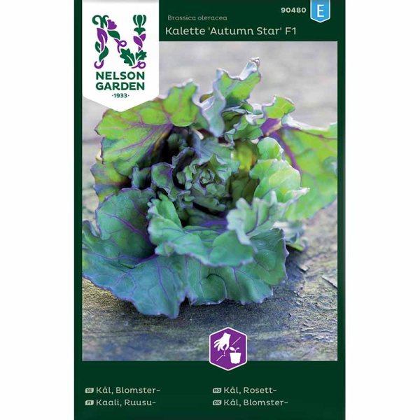 Flower Sprouts 'Autumn Star' F1