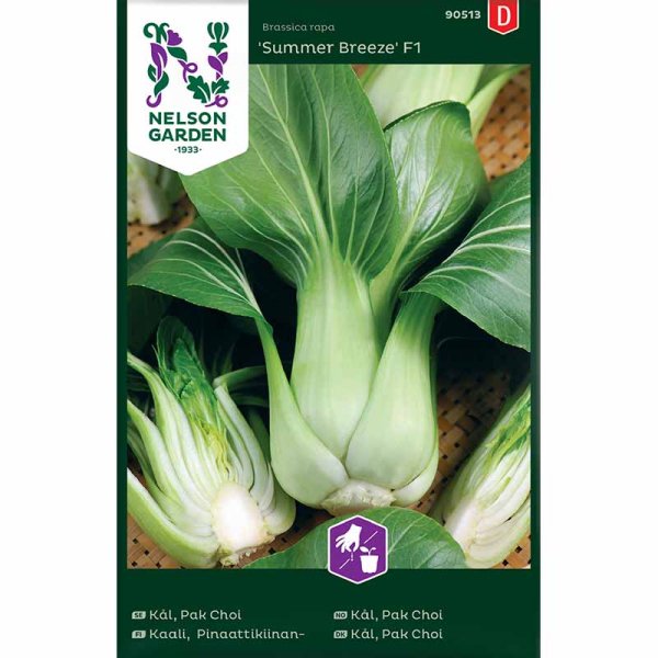 Pak Choi 'Summer Breeze' F1