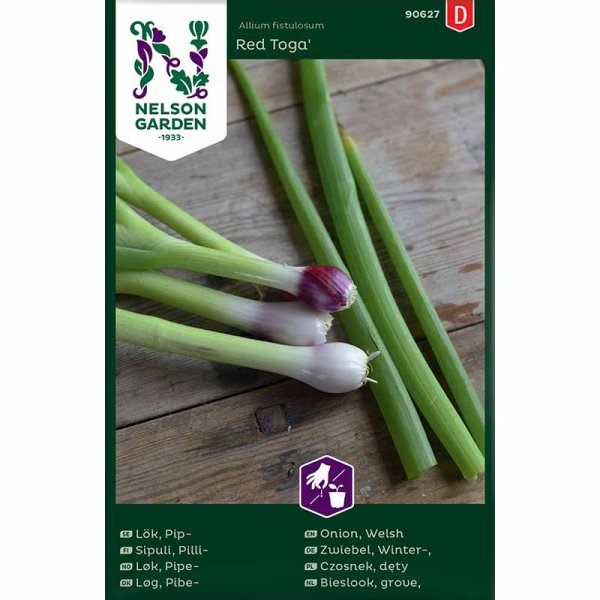 Welsh Onion 'Red Toga'