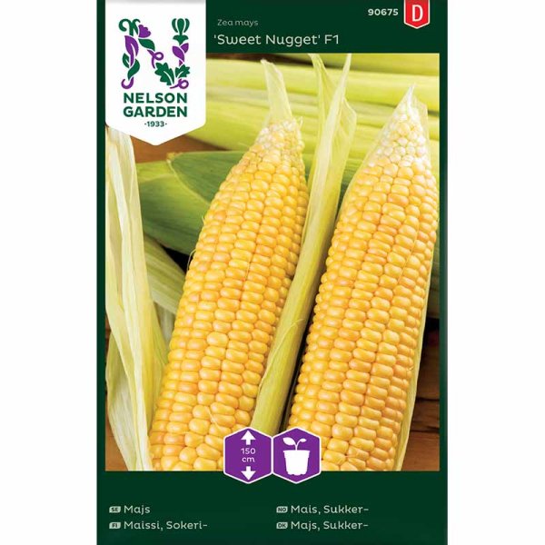 Sweet Corn 'Sweet Nugget'F1