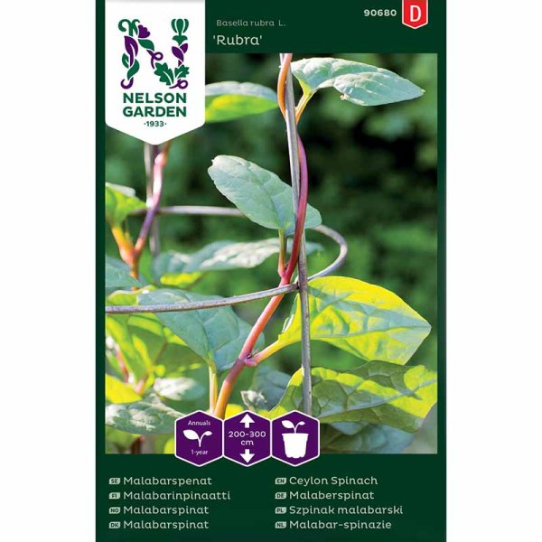 Malabar Spinach 'Rubra'