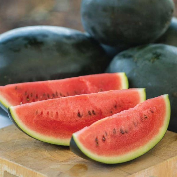 Watermelon 'Little Darling' F1