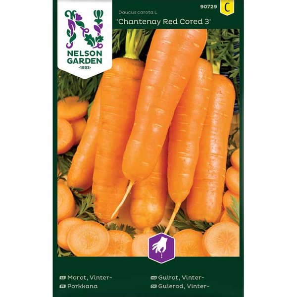 Winter Carrot 'Chantenay Red Cored 3'