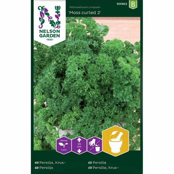 Leaf Parsley 'Moss curled 2'