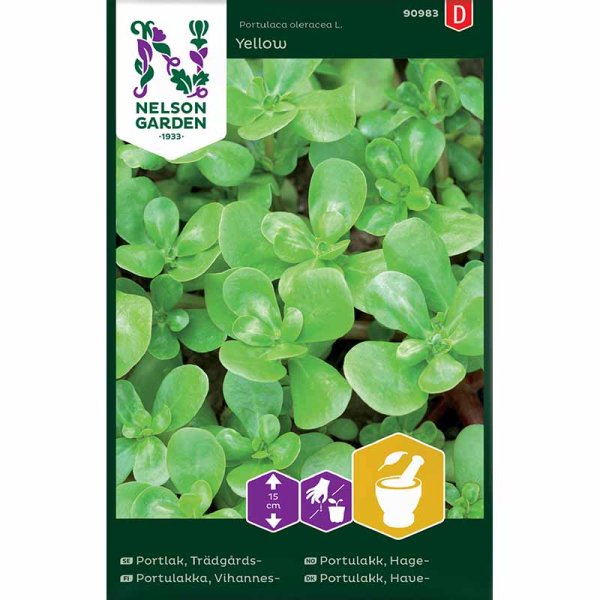 Purslane 'Yellow'