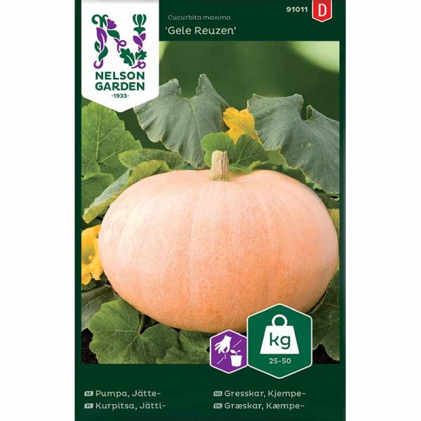 Giant Pumpkin 'Gele Reuzen'