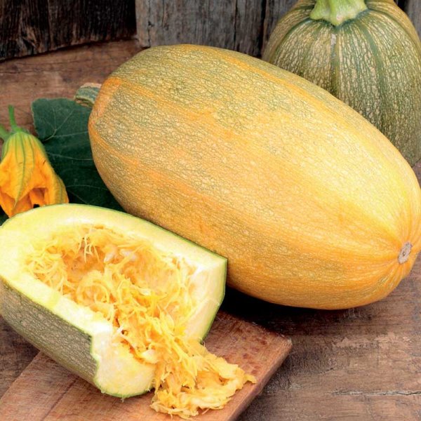 Spaghetti Squash 'Vegetable Spagetti'