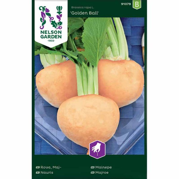 Turnip 'Golden Ball'