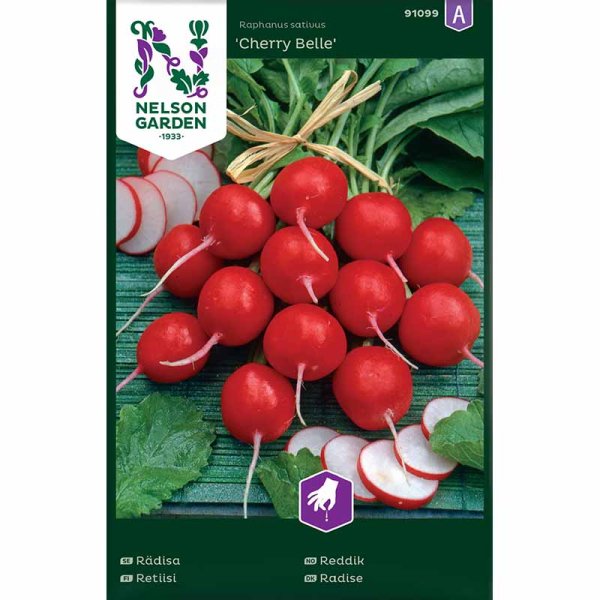 Radish 'Cherry Belle'
