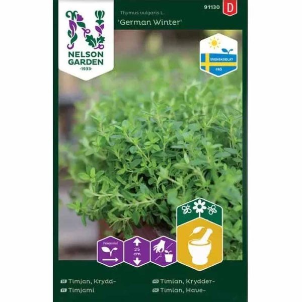 Winter Thyme 'German Winter'
