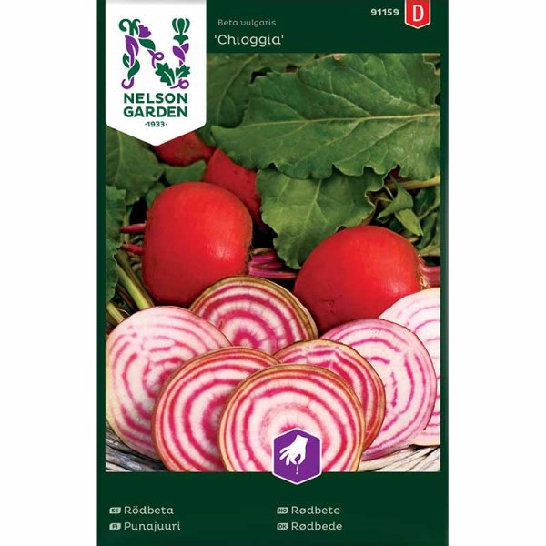 Beetroot 'Chioggia'