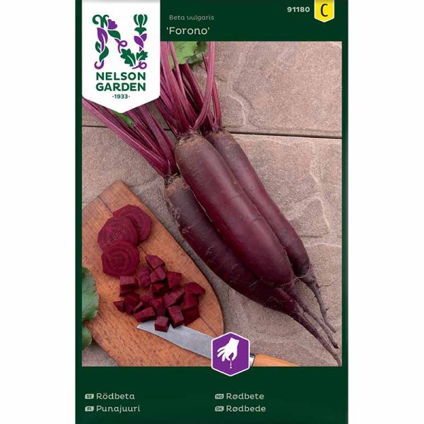 Beetroot 'Forono'