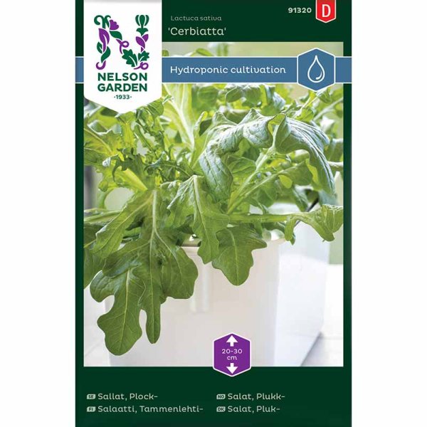 Leaf lettuce 'Cerbiatta' - Harvy