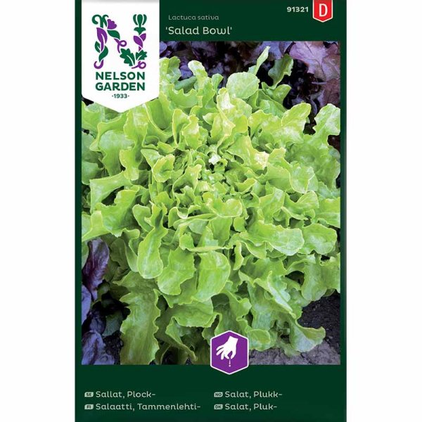 Loose leaf lettuce 'Salad Bowl'