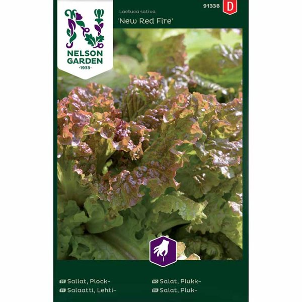 Loose-leaf Lettuce 'New Red Fire'