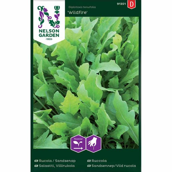 Sand mustard / Vild rucola 'Wildfire'