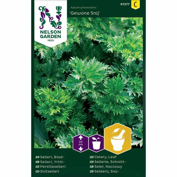 Cutting Celery 'Gewone Snij'