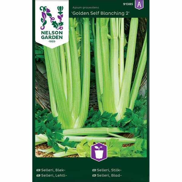 Celery 'Golden Self Blanching 2'