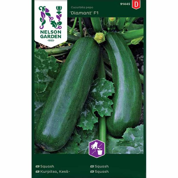 Squash / Summer Squash 'Diamant' F1