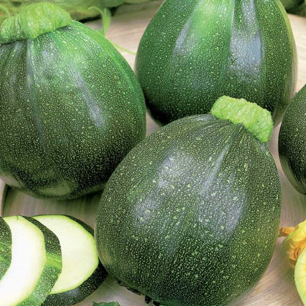 Squash / Summer Squash 'Eight Ball' F1