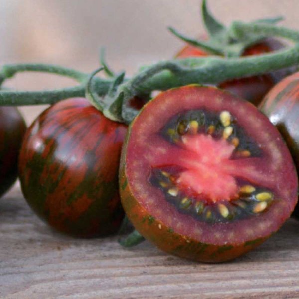 Tomato , 'Tiger' F1