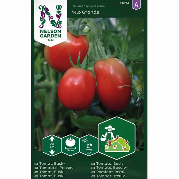 Bush Tomato 'Rio Grande'