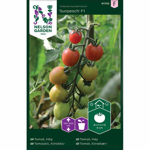 Tall Tomato 'Sunpeach' F1