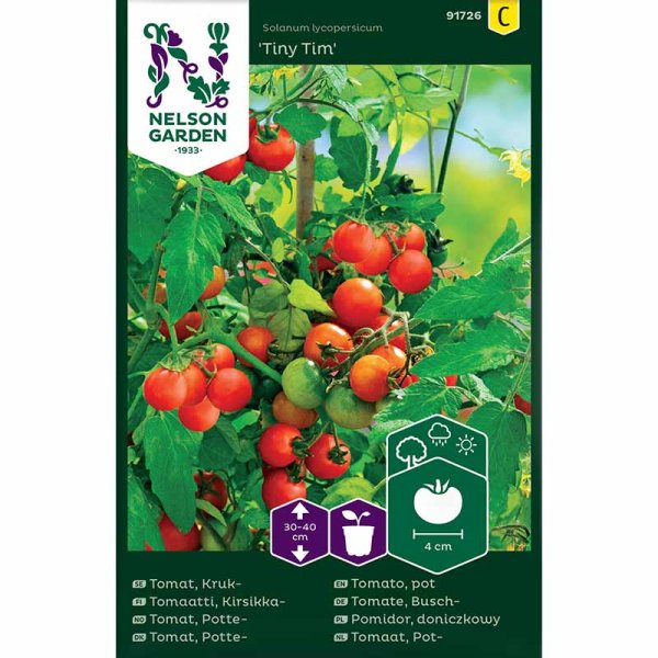 Cherry Tomato 'Tiny Tim'