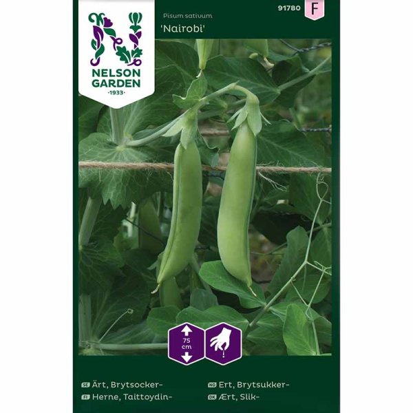 Brytsockerärt 'Nairobi'