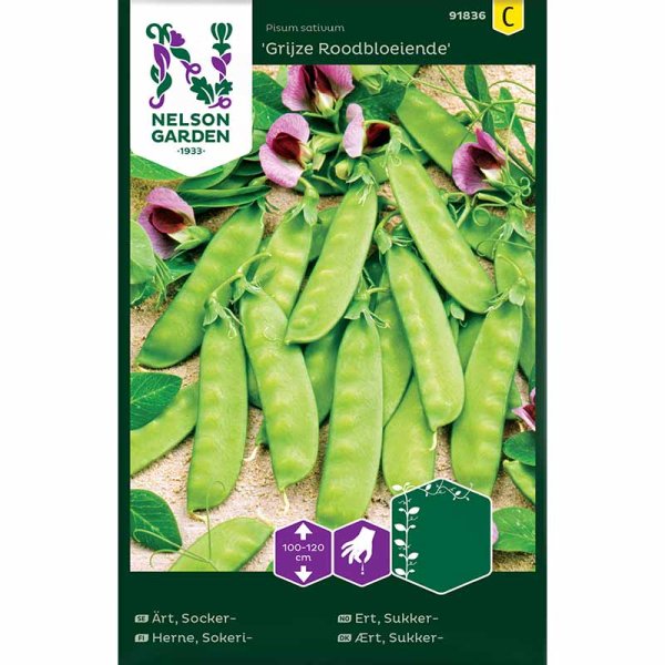 Snow Pea 'Grijze Roodbloeiende'