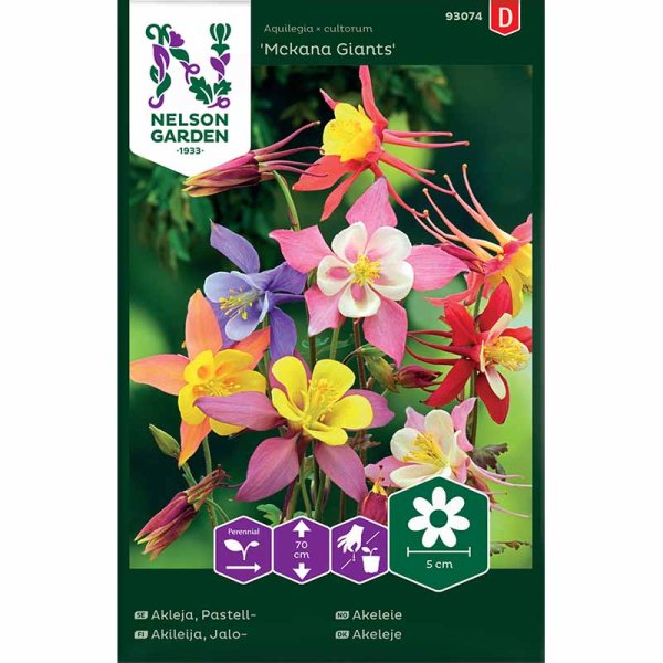 Columbine 'Mckana Giants'