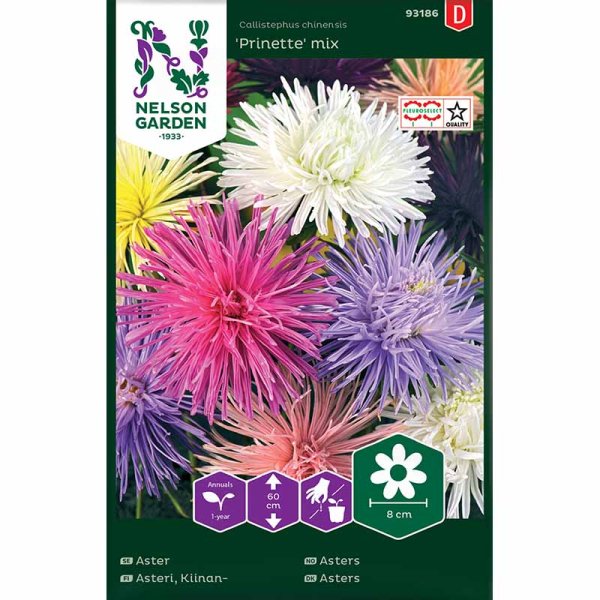 China aster 'Prinette' mix