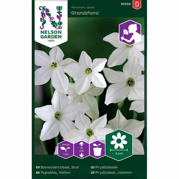 Large Flowering Tobacco 'Grandiflora'