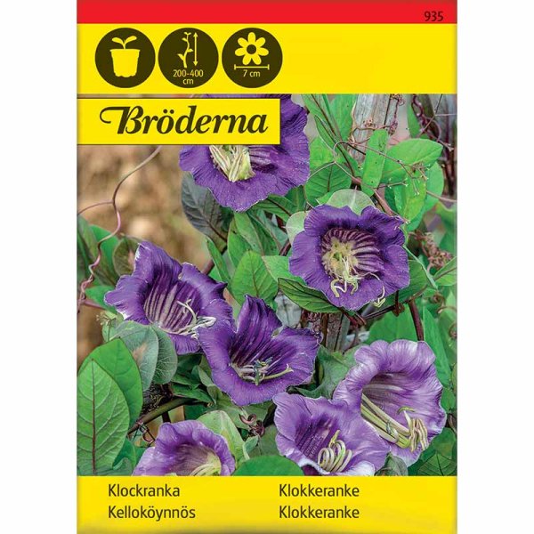 Blue Cup and Saucer Vine