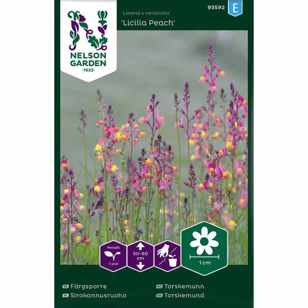 Toadflax 'Licilia Peach'