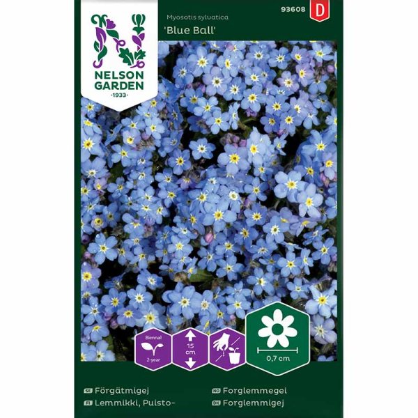 Wood forget-me-not 'Blue Ball'