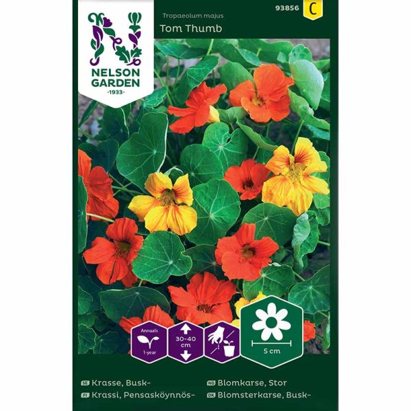 Dwarf nasturtium 'Tom Thumb'