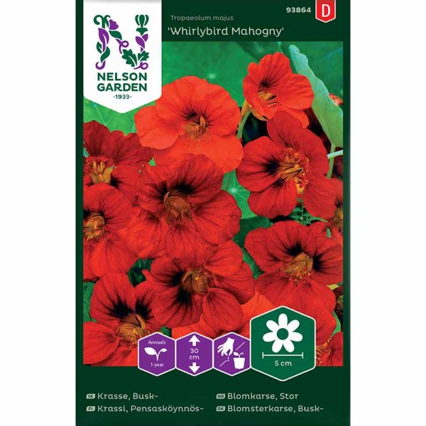 Dwarf nasturtium 'Whirlybird Mahogny'