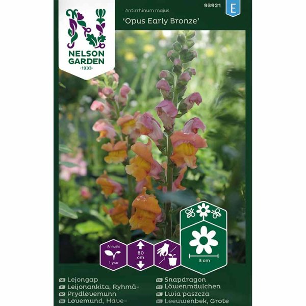 Snapdragon 'Opus Early Bronze' F1
