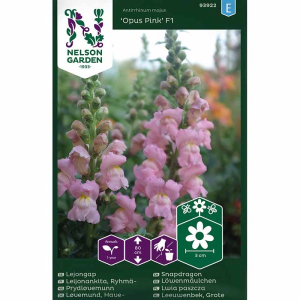 Snapdragon 'Opus Pink' F1