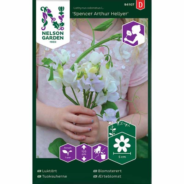 Sweet Pea 'Spencer Arthur Hellyer'