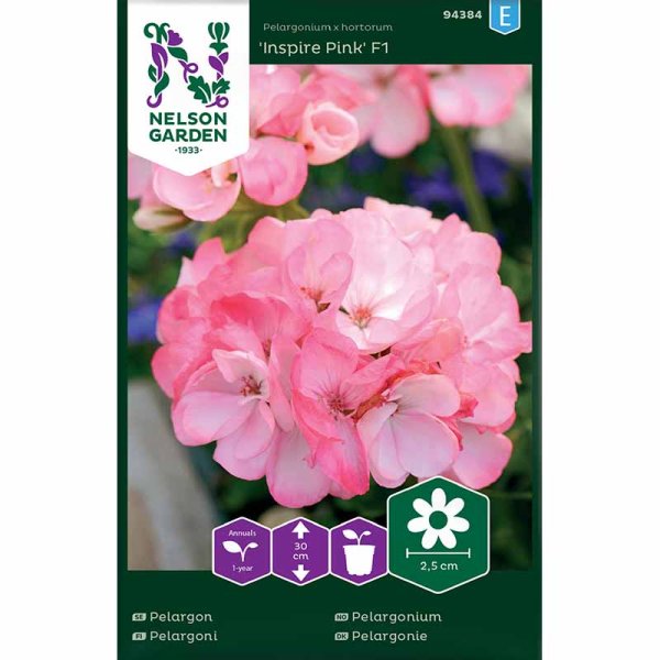 Geranium 'Inspire Pink' F1