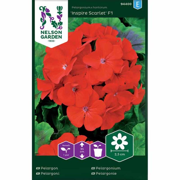 Geranium 'Inspire Scarlet' F1